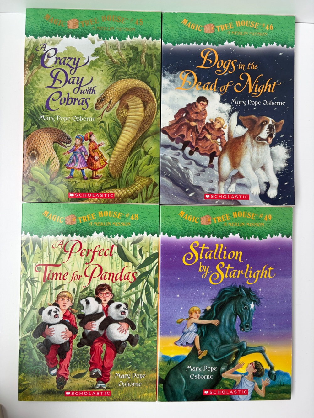 Magic Treehouse Large Lot of 19 Children’s Books - #29-35, 37-46, 48-49 - Picture 4 of 7